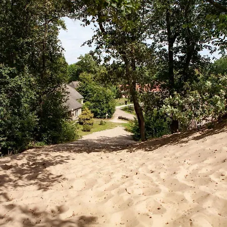 Beautiful With Spa, On A On The Maashorst Nature Reserve Uden