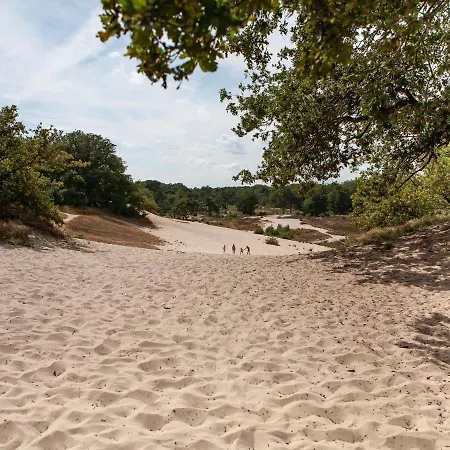 Сasa de vacaciones Beautiful With Spa, On A On The Maashorst Nature Reserve Uden
